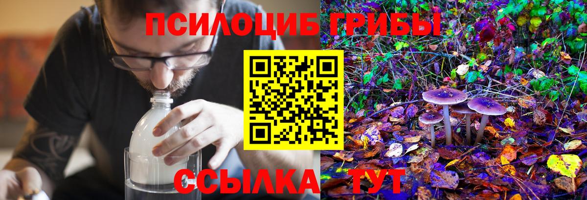 Псилоцибиновые грибы мухоморы Ишимбай